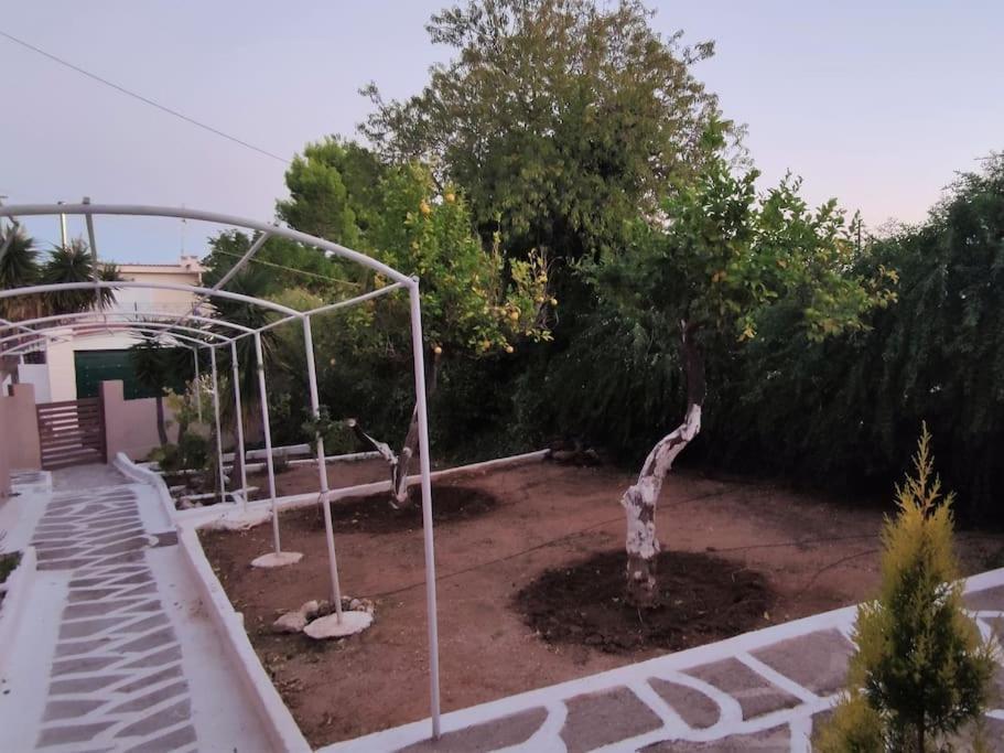 Penthouse Studio Next To The Sea Salamis Bagian luar foto